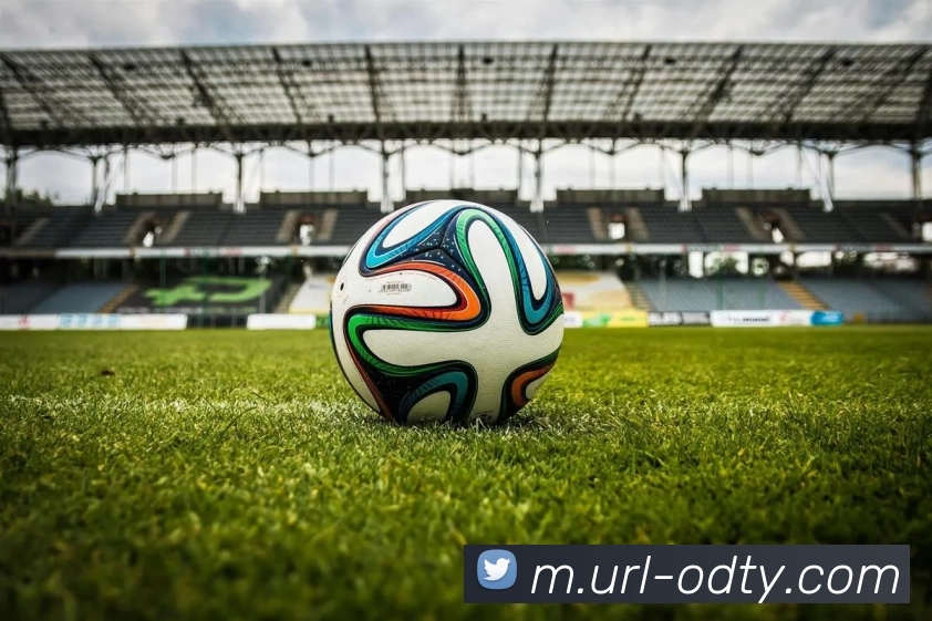 OD体育平台生态图