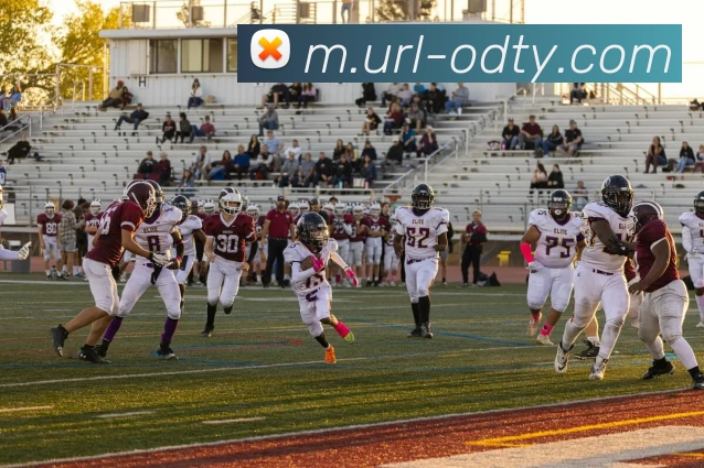 OD体育APP 封面图